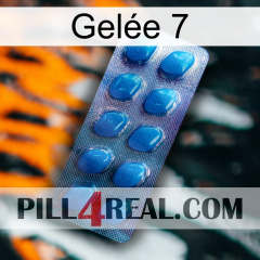 Gelée 7 viagra1